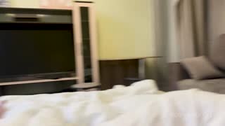 [AnalVids] Reina Flore Curly Redhead Slut Fucked (26.09.03)[720p][x264][xFans]