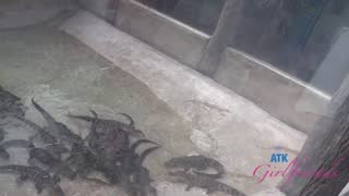 atkgirlfriends.26.07.30.lana.gee.sarasota.2.480p